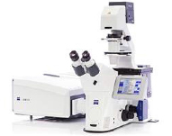 전 채널 스펙트럼 레이저 공초점 주사 현미경 [Laser Confocal Scanning Microscope]